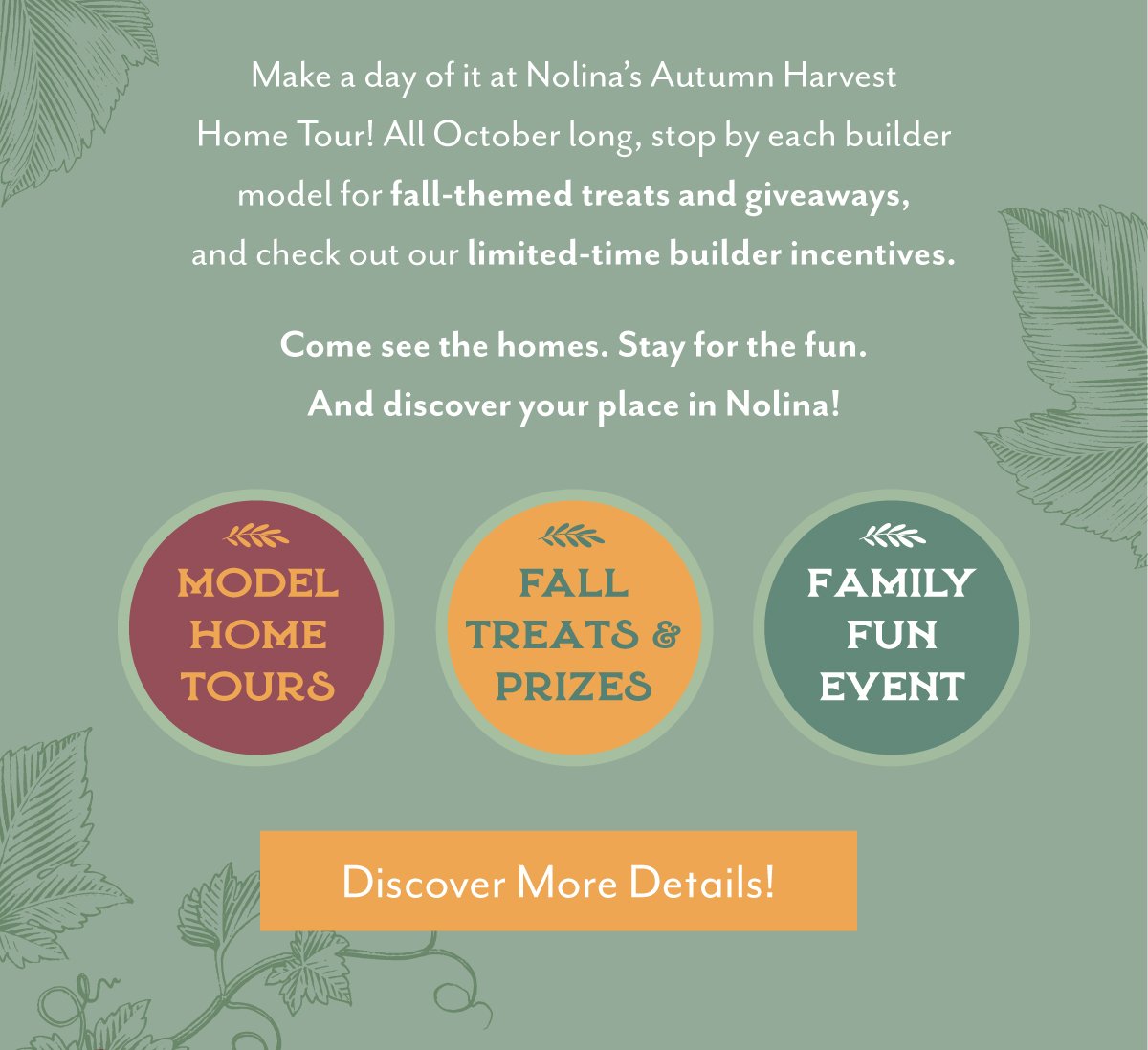 Discover More Details